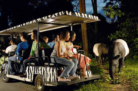 Malaysia and Singapore holiday packages